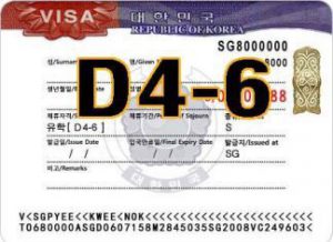 Visa D4 6