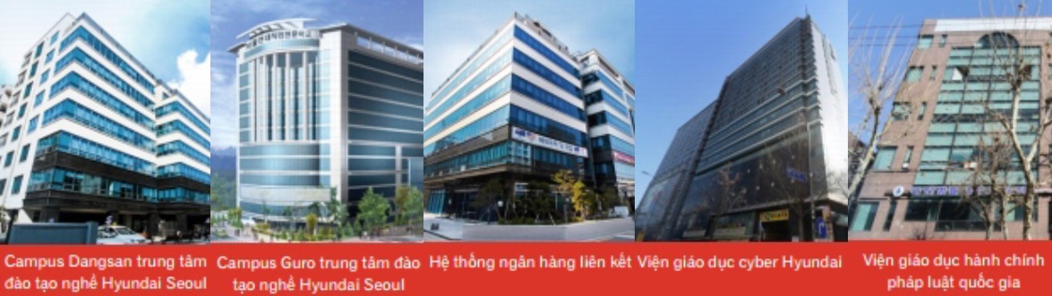 Quy mô các thành viên trực thuộc trường cao đẳng nghề hyundai seoul