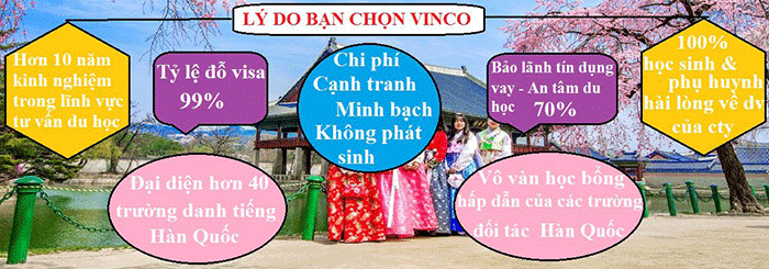 Ly Do Chon Vinco