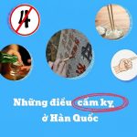 Du Hoc Han Quoc